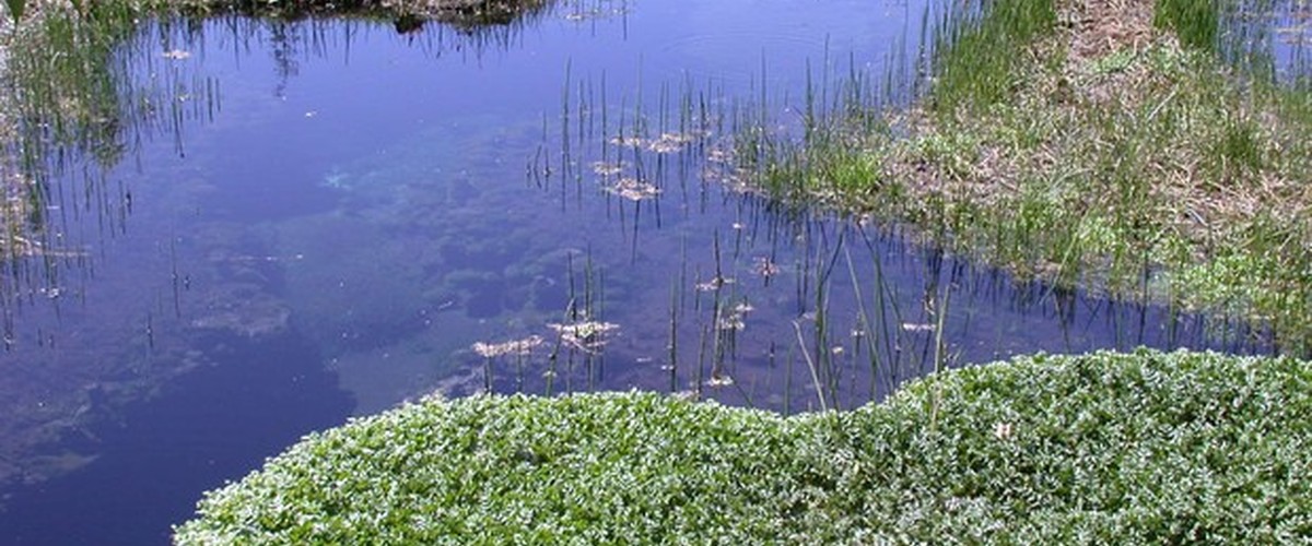 Observatorio Agua y Vida