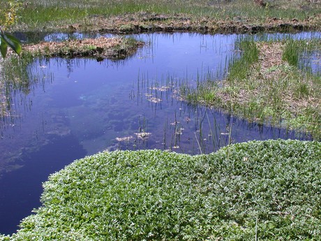 Observatorio Agua y Vida